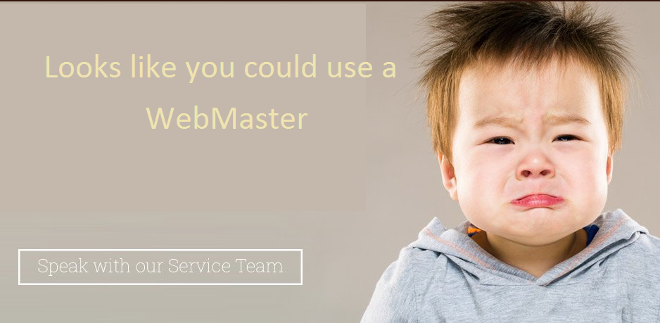 Webmaster required